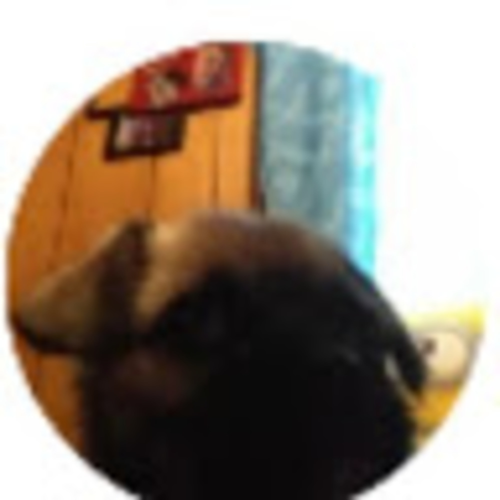 Meet your Posher, Hypnotizedracoon